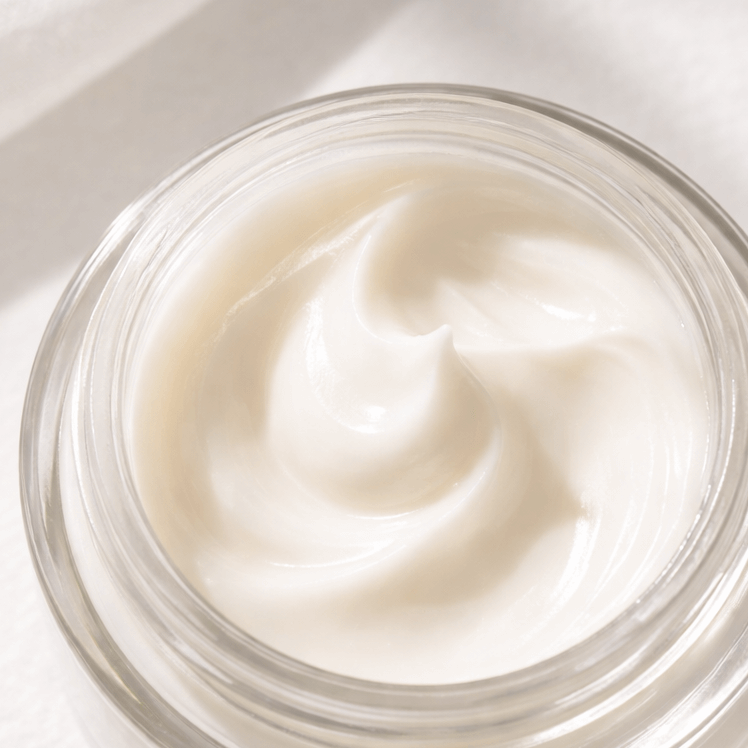 Revitalizing Day Care