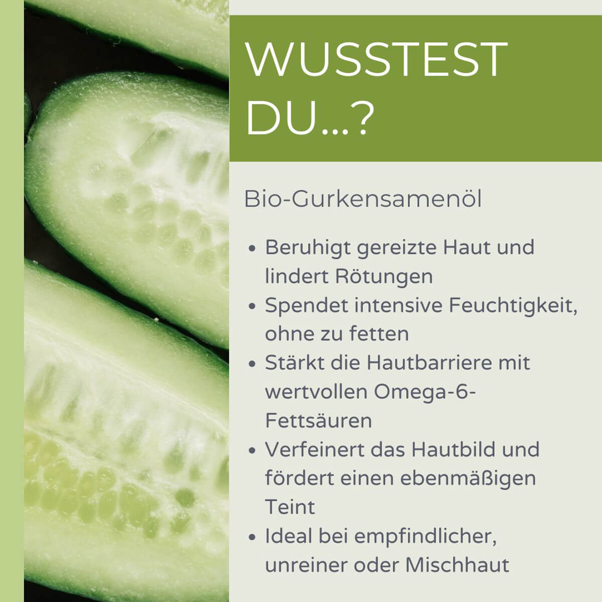 Grafik mit aufgeschnittener Gurke und Text über die Vorteile von palmölfreiem Bio-Gurkensamenöl für die Haut: beruhigend, feuchtigkeitsspendend, stärkt die Hautbarriere, verfeinert das Hautbild, ideal bei empfindlicher oder unreiner Haut.